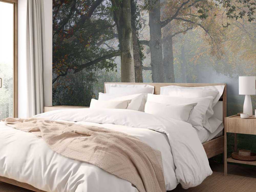 Corsia con alberi nella nebbia