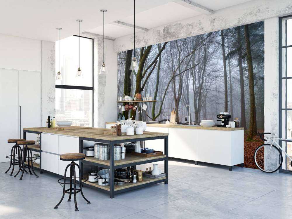 Misteriosa foresta nebbiosa