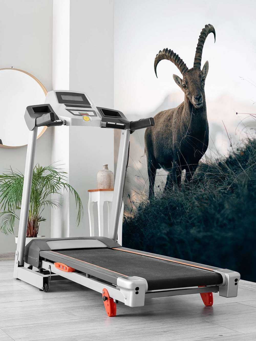 Capricorno in montagna