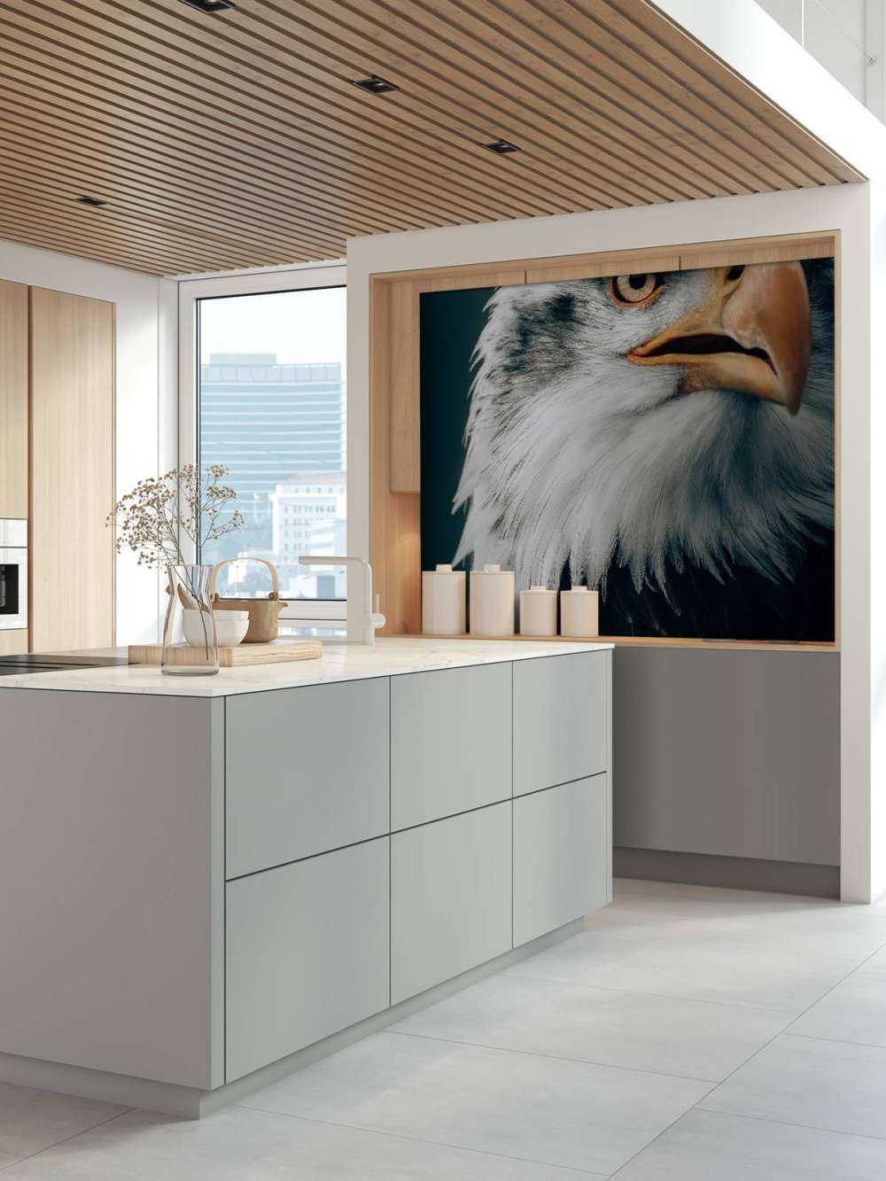 Aquila dalla coda bianca che fissa
