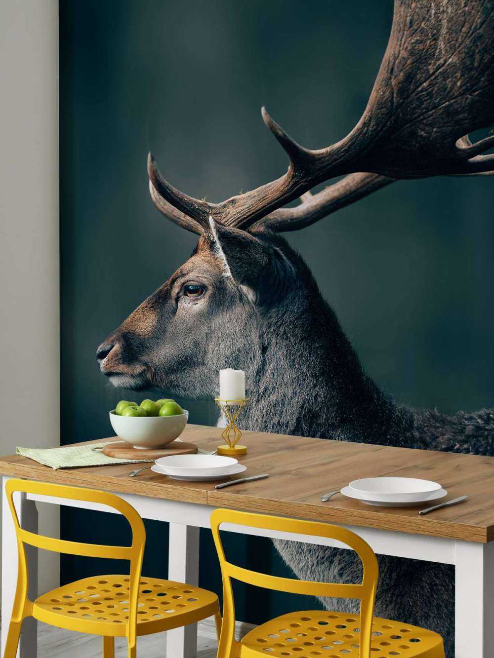 Cervo daino in primo piano