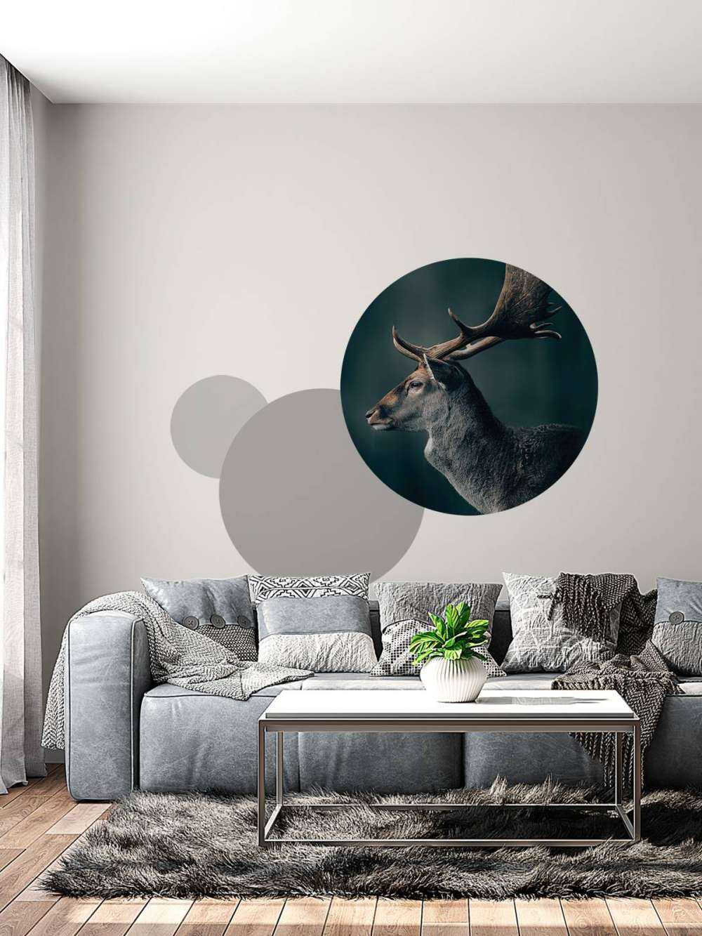 Cervo daino in primo piano