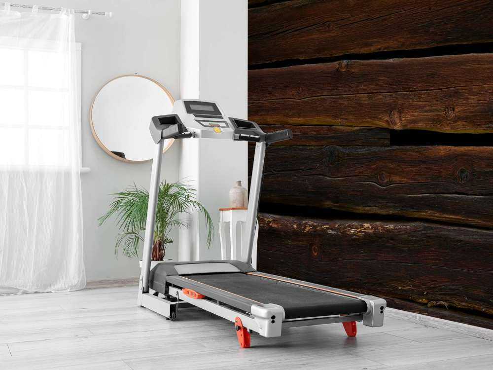 Legno vecchio e robusto