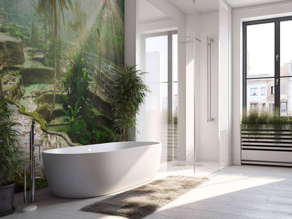 Campi di riso nella giungla