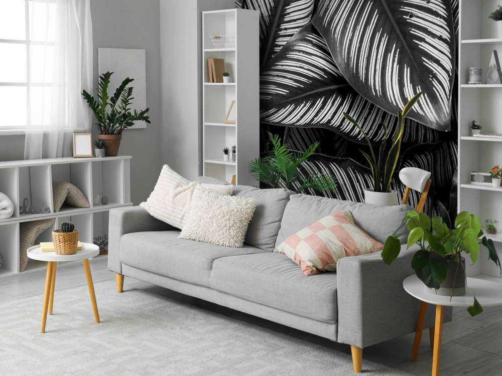 Foglie di palma bianche e nere