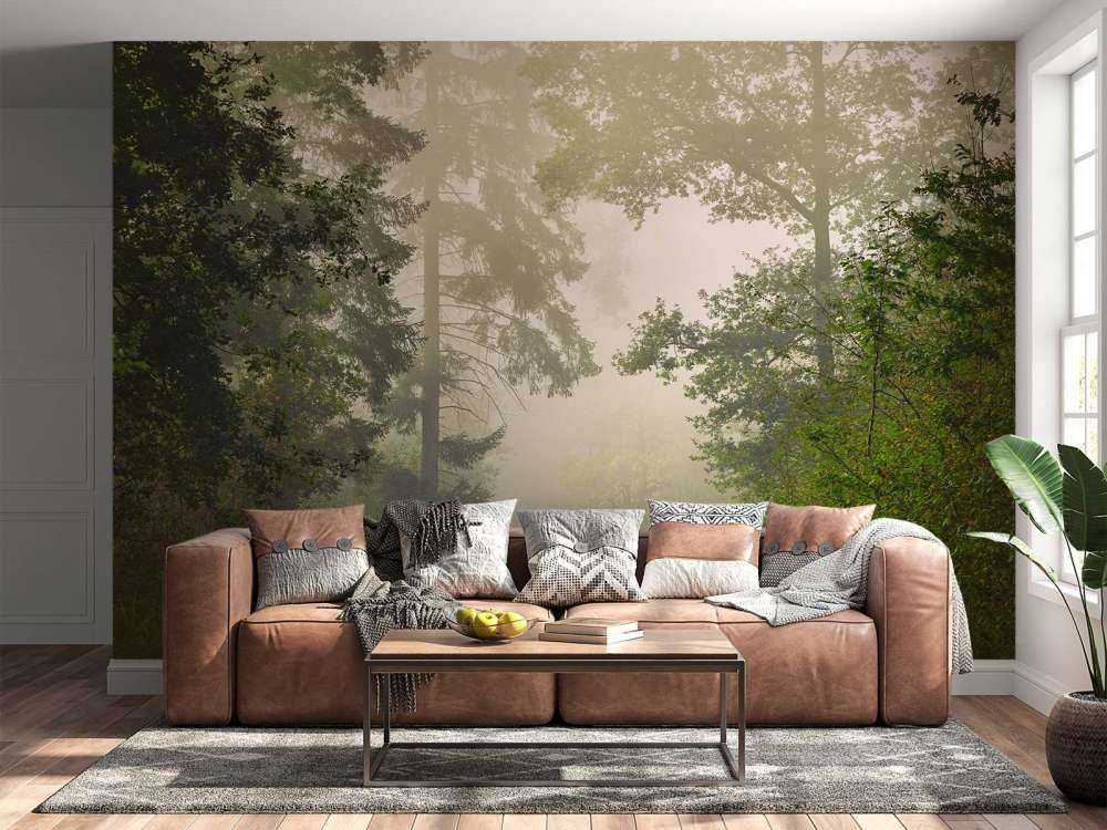 Strada attraverso la foresta nebbiosa