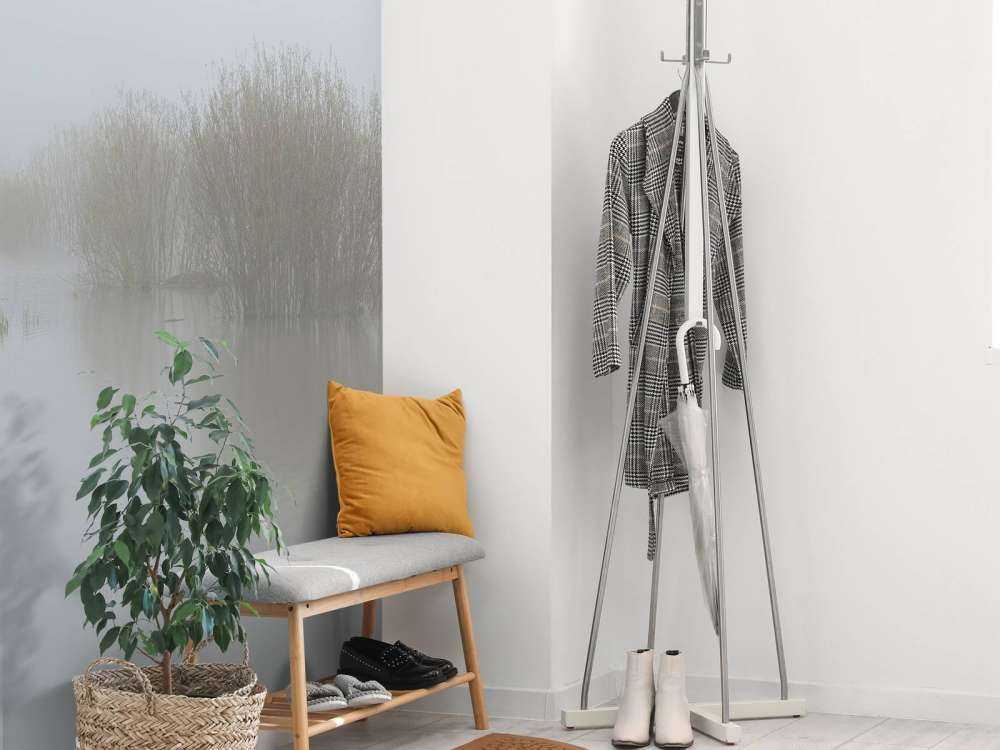 Nebbia nella riserva naturale