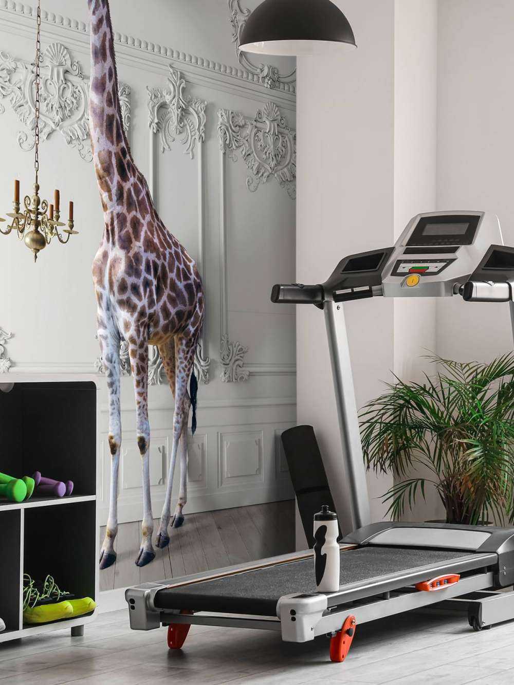 Giraffa con candeliere