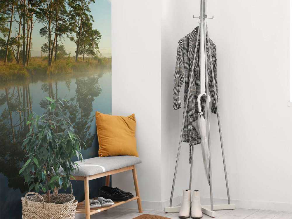 Riflessione nella brughiera