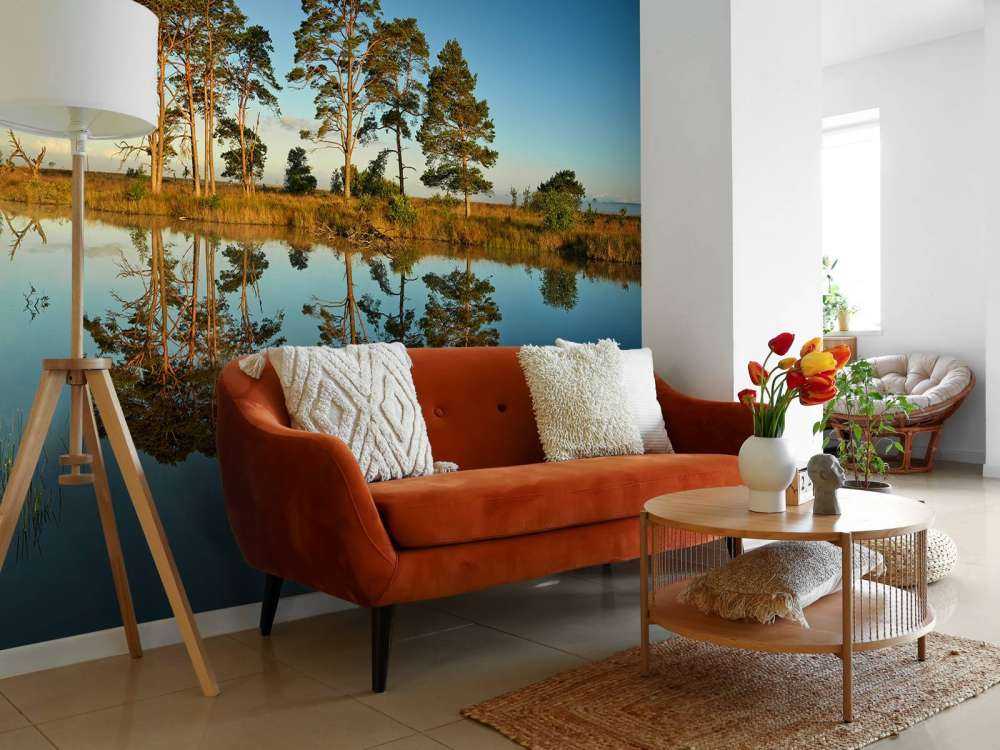 Riflessione nel lago della foresta