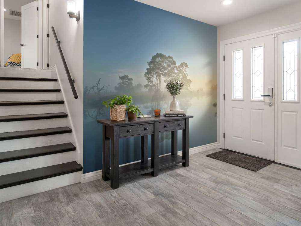 Nebbia nella brughiera