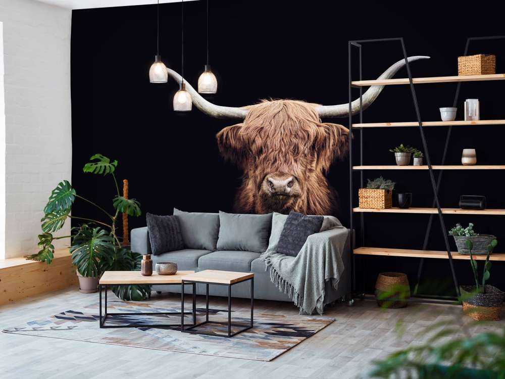 Highlander scozzese d'epoca