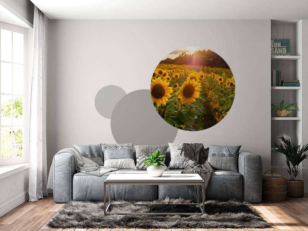 Fattoria dei girasoli