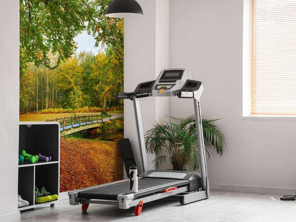 Ponte in una grande foresta