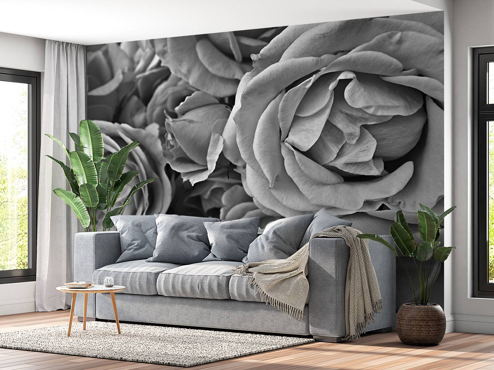 Rose bianche e nere, image size:1600x1200