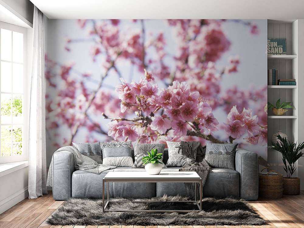 Fiore rosa in primo piano