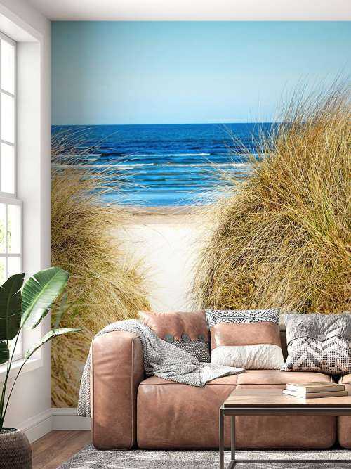 Dune