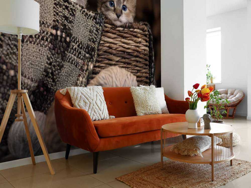 Tre gattini in un cestino