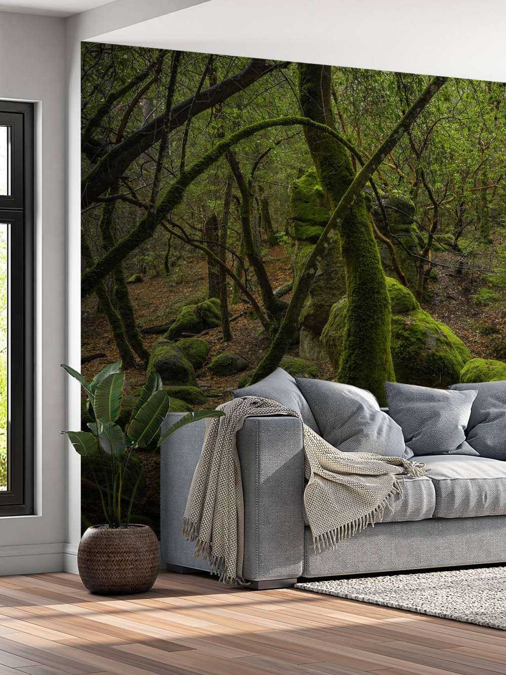 Alberi e pietre di muschio