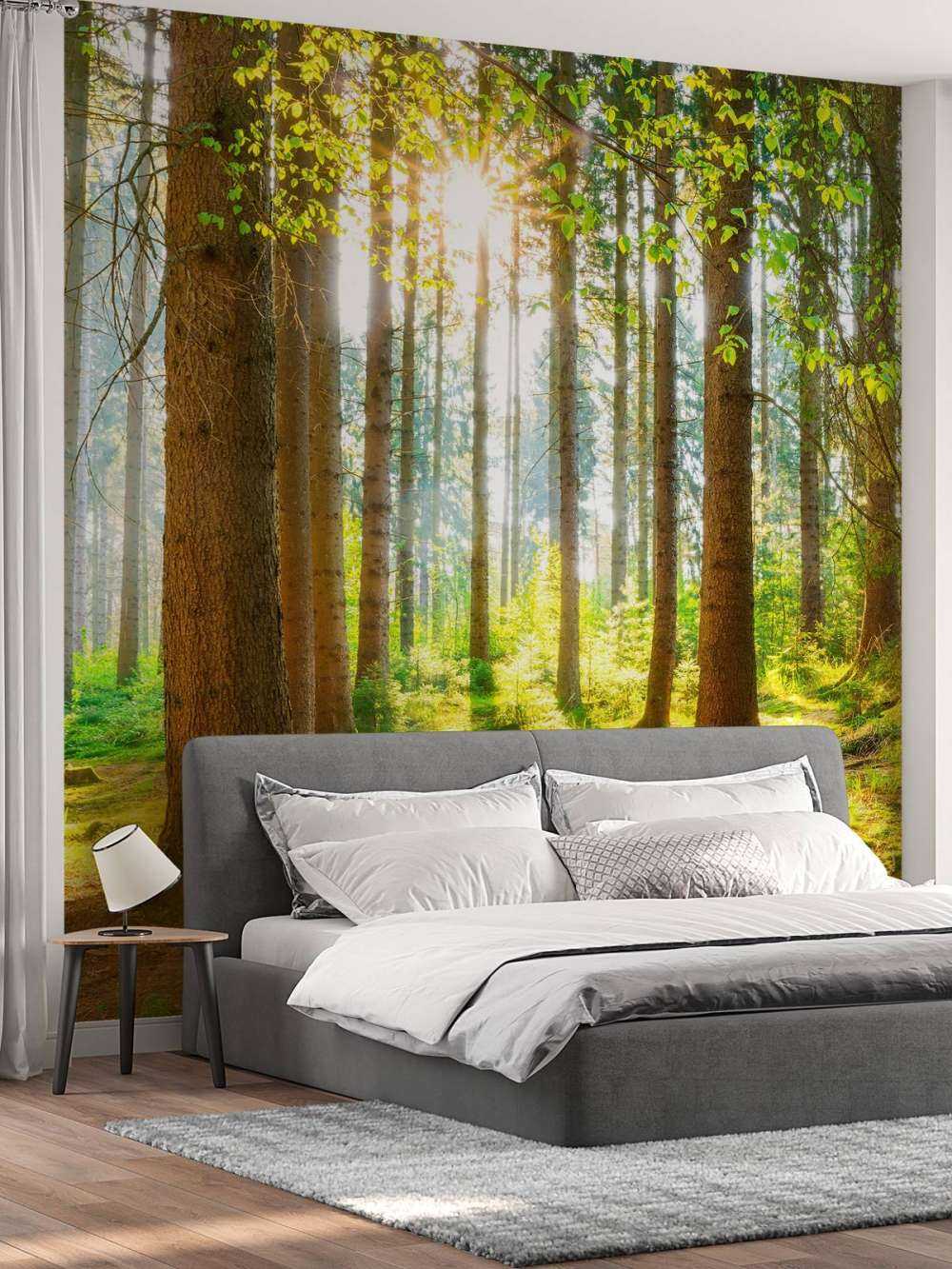 L'alba nella foresta