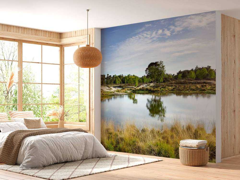 Un piccolo lago forestale nella zona brughiera 