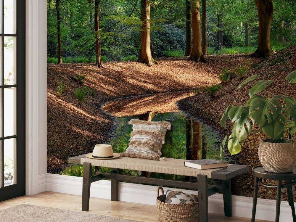 Brooklet nella foresta 