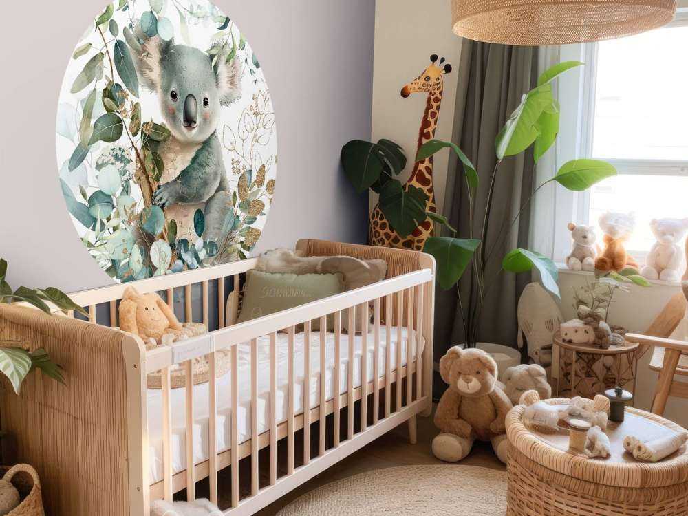 Koala ombreggiato in eucalipto