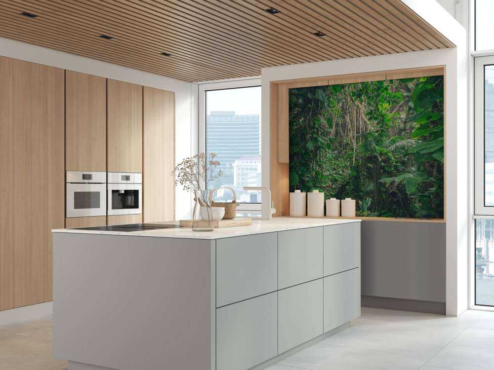 Rami nella foresta pluviale