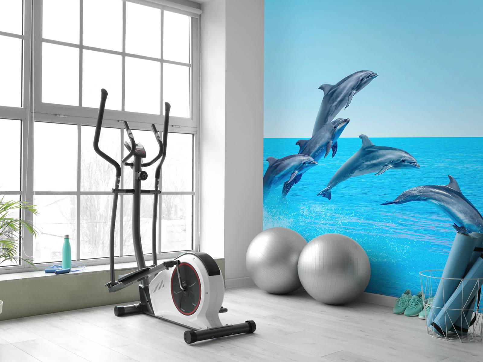 Delfini che saltano, image size:1600x1200