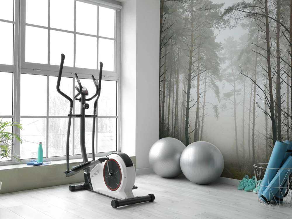 Sentiero nella foresta nebbiosa