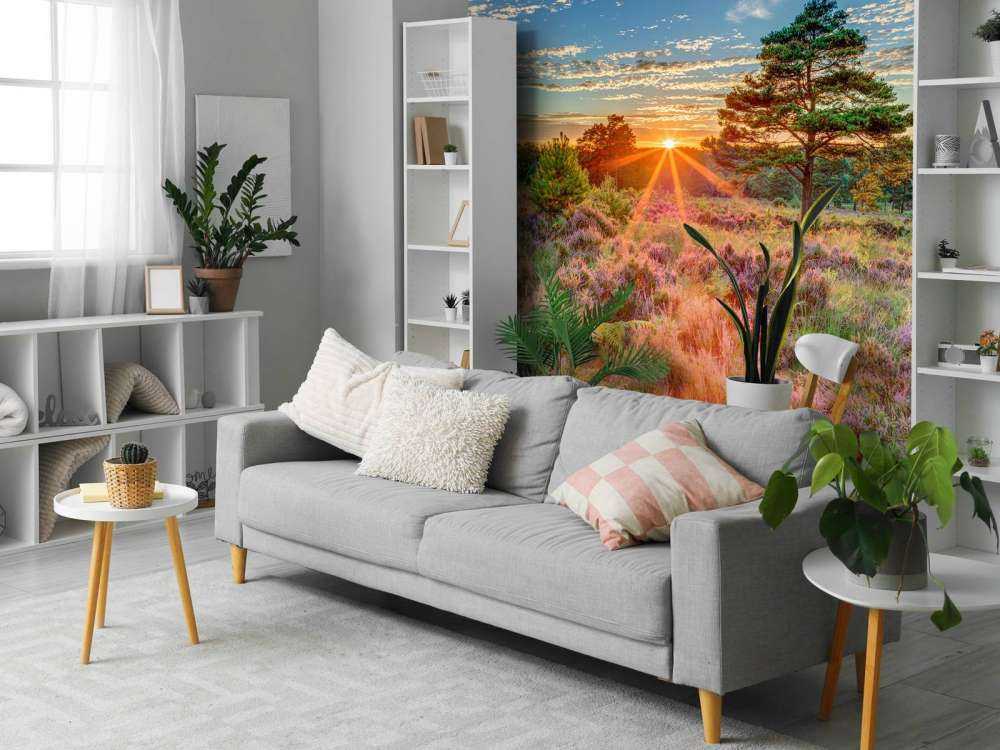 Tramonto in campagna