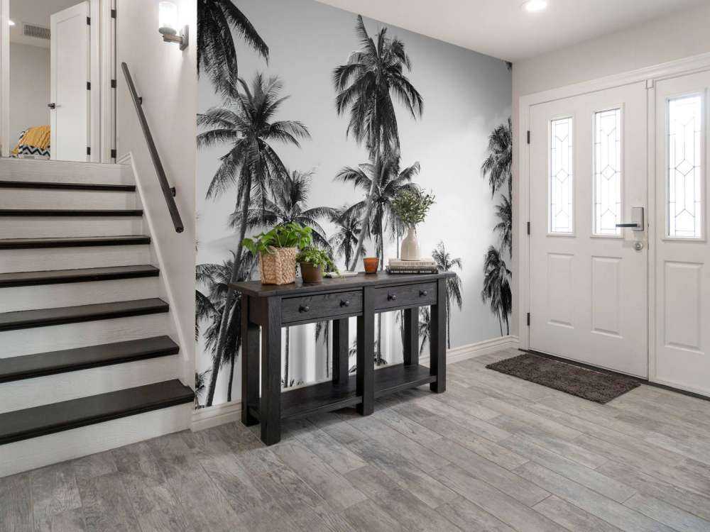 Palme in bianco e nero