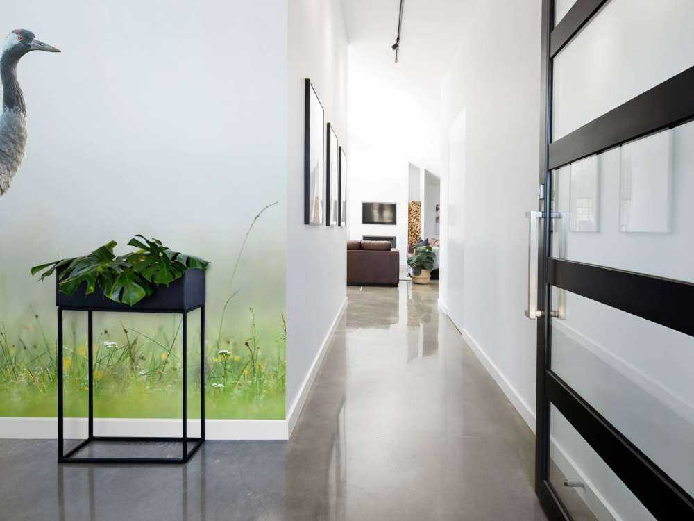 Gru nella nebbia del mattino