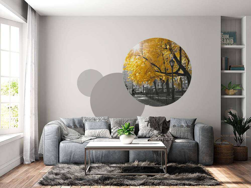 Un sentiero attraverso Central Park