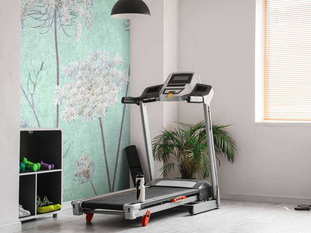 Prezzemolo di mucca, verde scuro