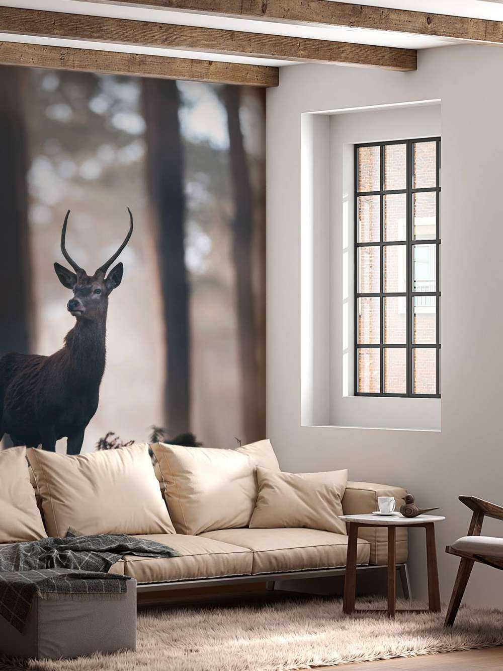 Cervo vicino agli alberi