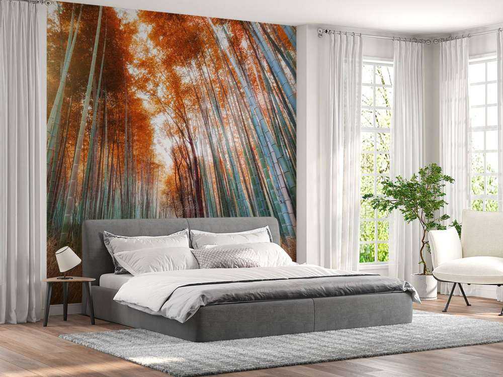 Autunno foresta di bambù