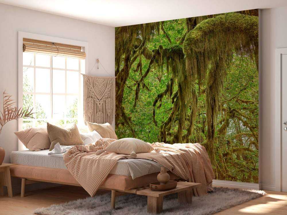 Muschio sui rami degli alberi