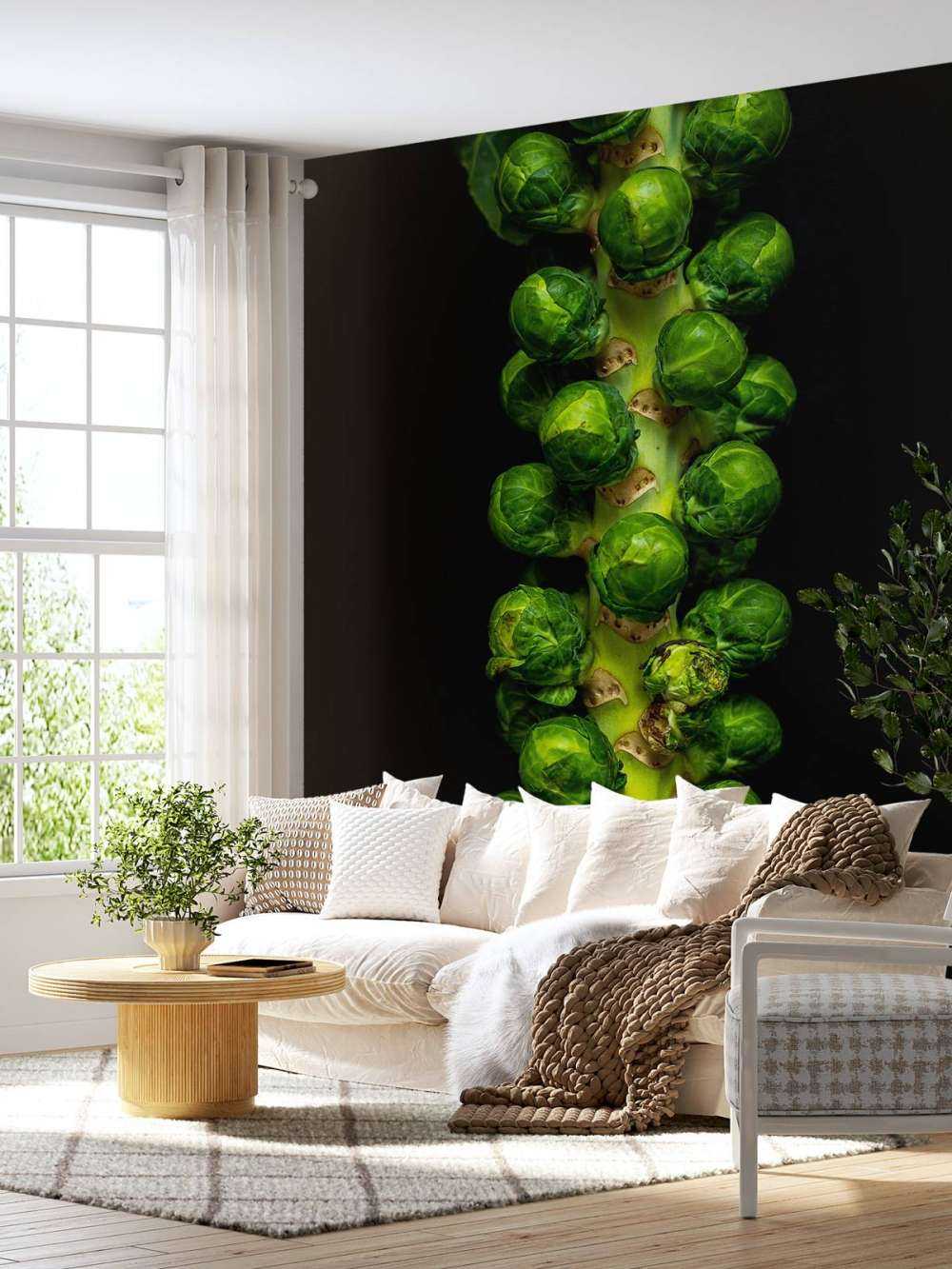 Cavolini di Bruxelles