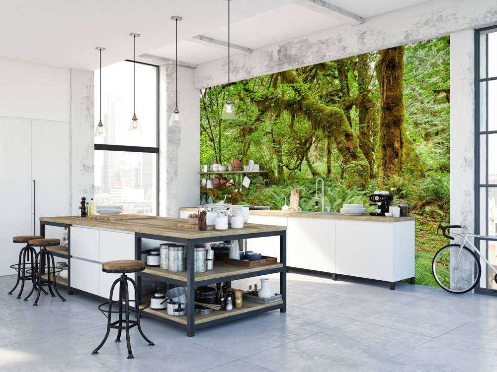 Felci in un vecchio bosco