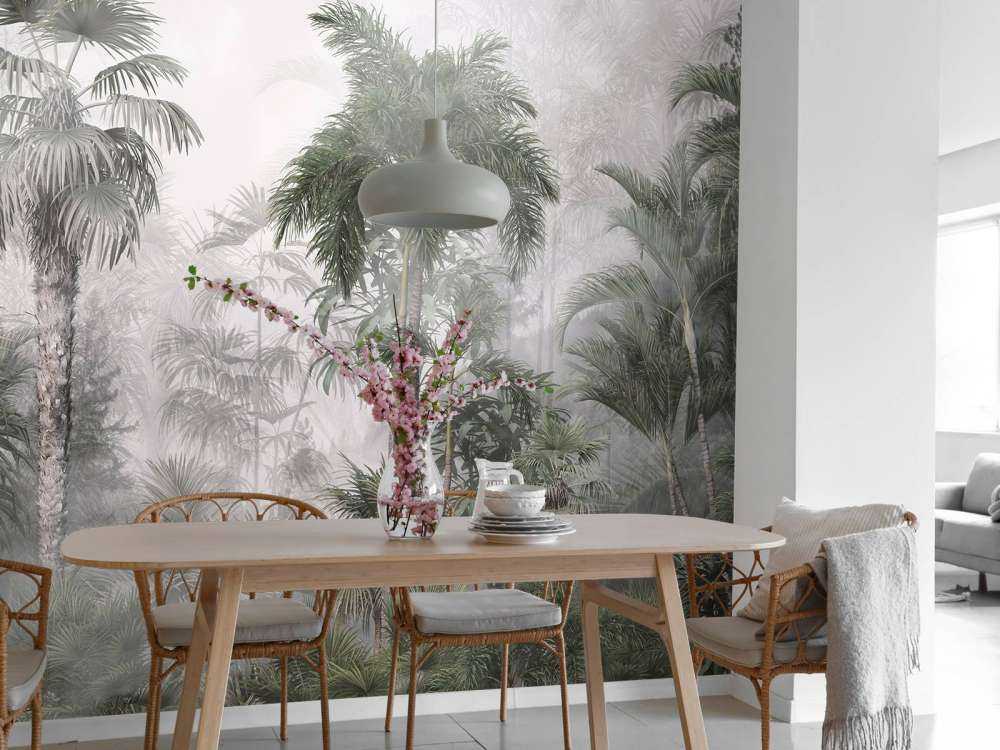 Nebbia Mattutina nei Tropici