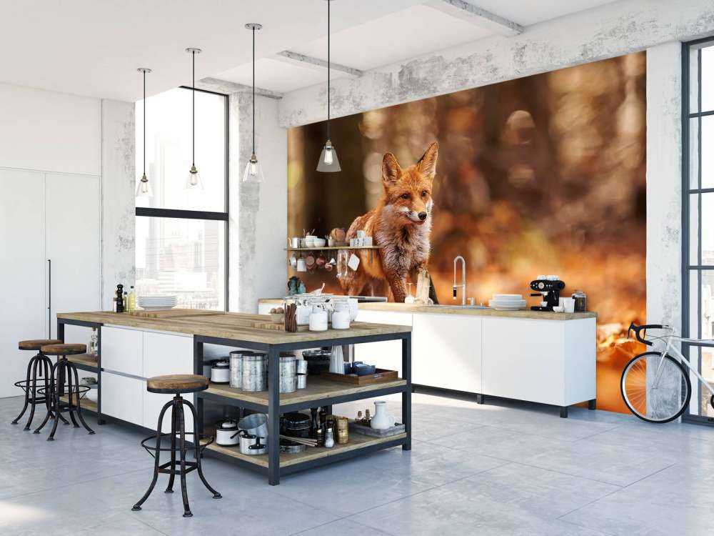 Colpi di Volpe Volo Autunnale