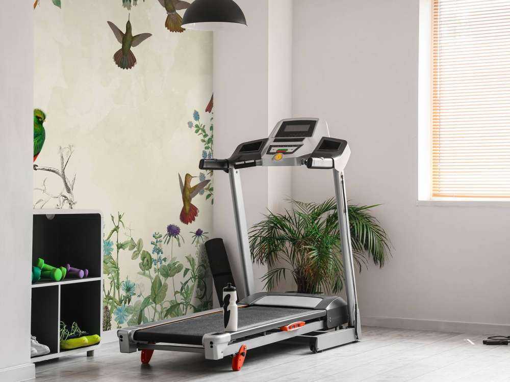 Campi di Uccelli Colorati