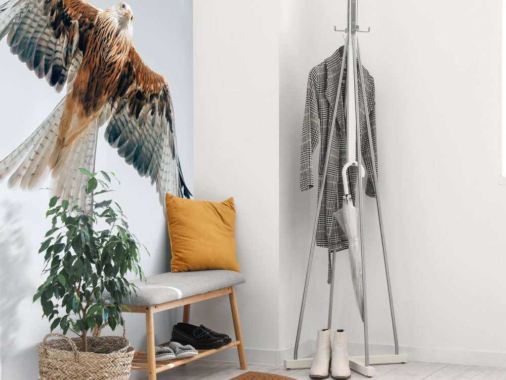 Aquilone rosso nel cielo