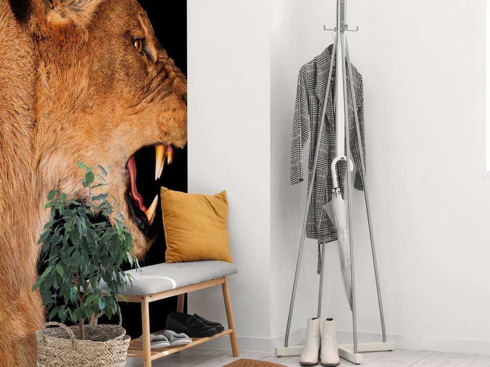 Vista laterale leonessa