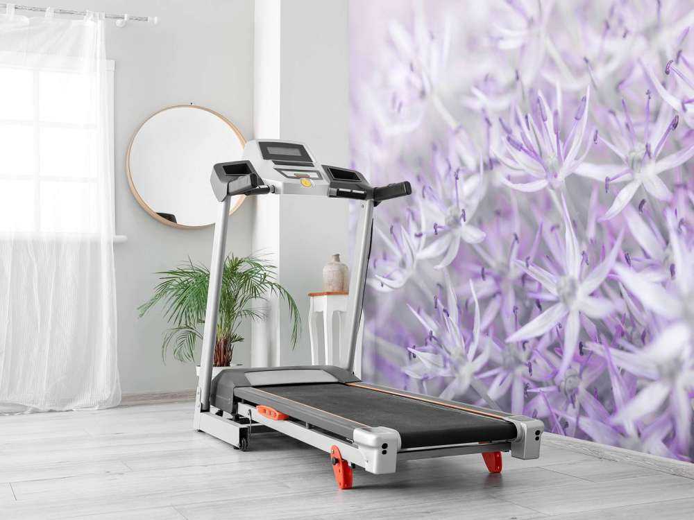 Primo piano di fiori di Allium