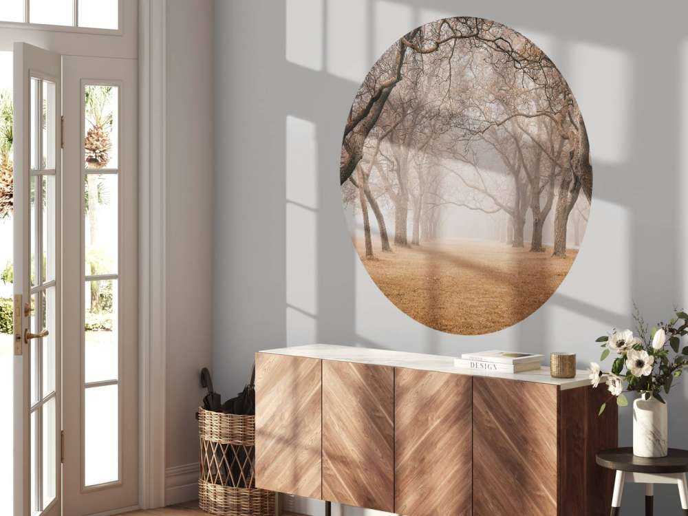 Fila di alberi secolari