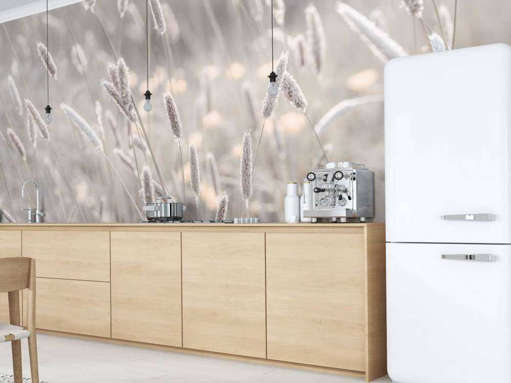 Primo piano di un prato