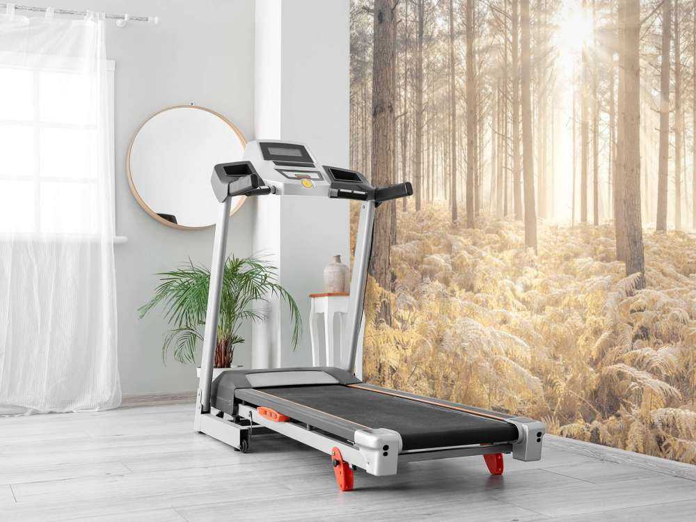 Raggi di sole attraverso la fredda foresta