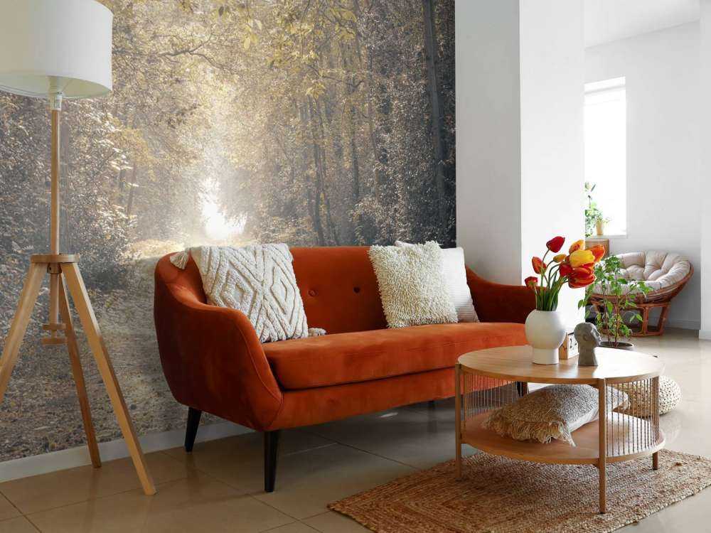 Sentiero attraverso una foresta deserta